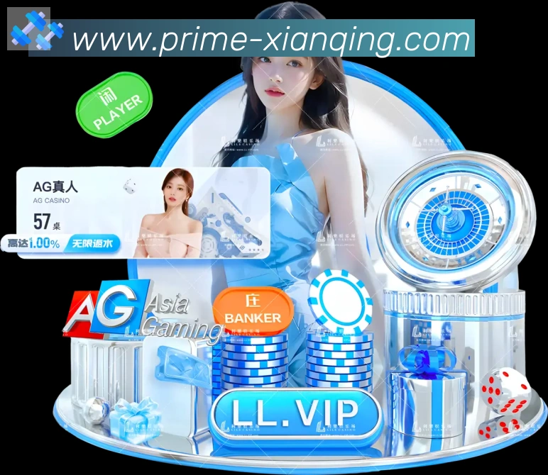 未来规划